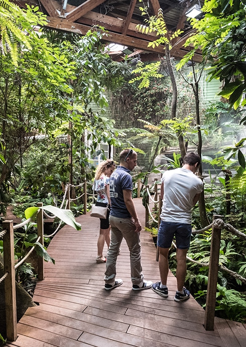 The path from the tropical pavilion to Océanopolis