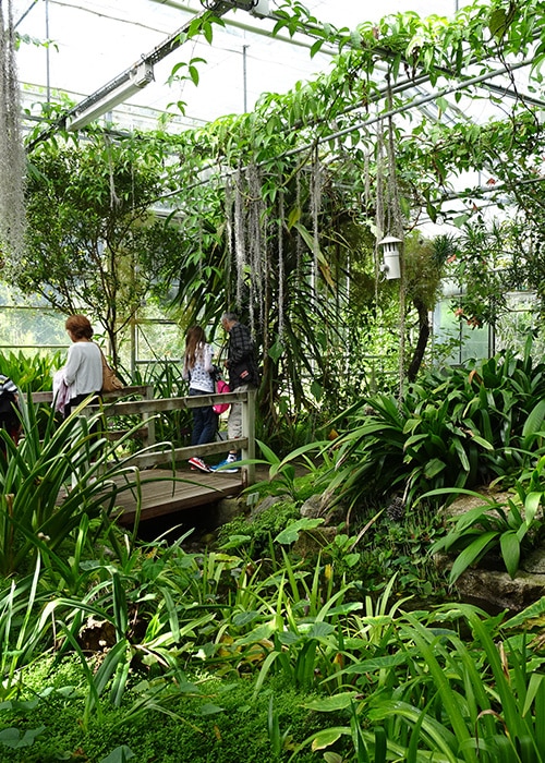 The National Botanical Conservatory of Brest