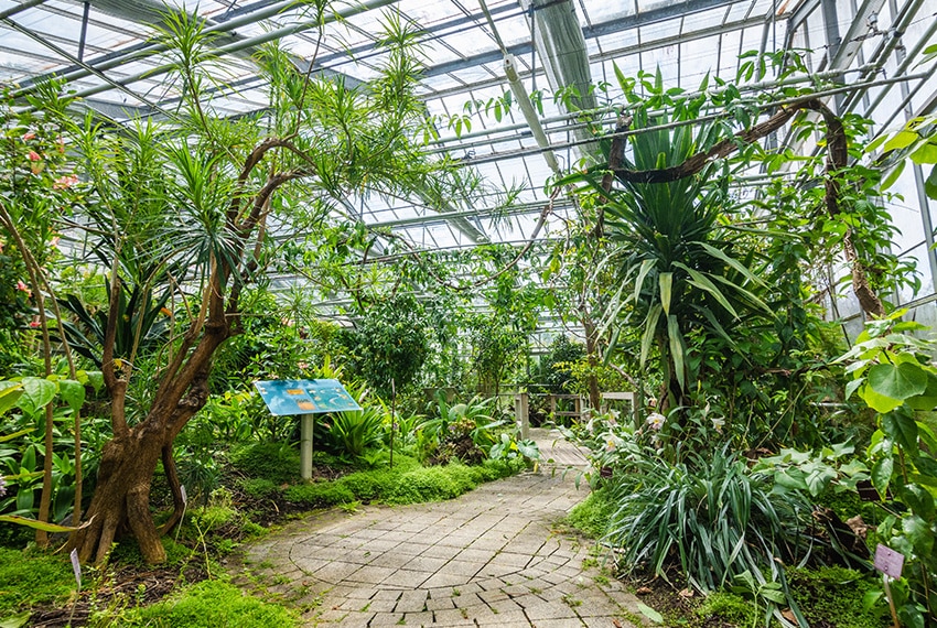 Les serres tropicales du Conservatoire Botanique National